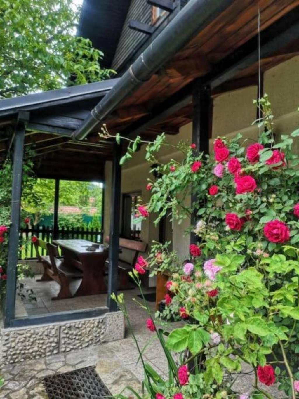 Silva Cabin - In The Heart Of Bran, Next To The Castle W/ Free Parking Бран Екстериор снимка